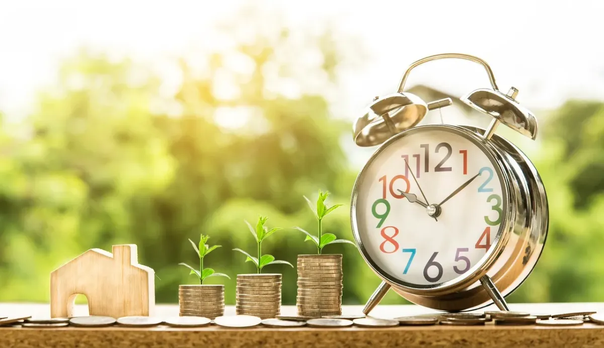 interest payments , cash flow ,other income streams