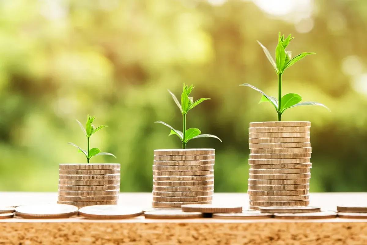 multiple streams of income , financial freedom , Own Business