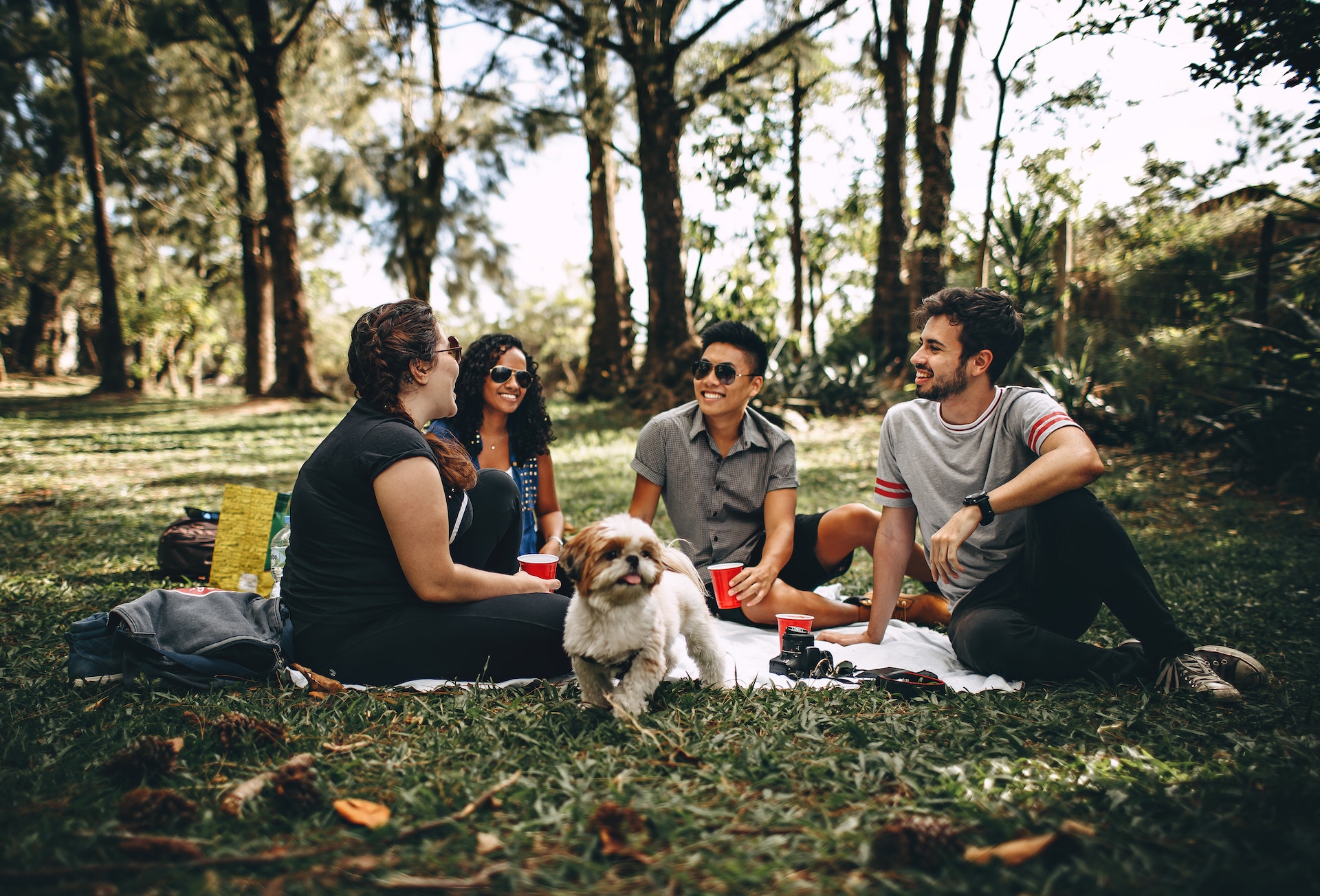 picnic in the neighborhood