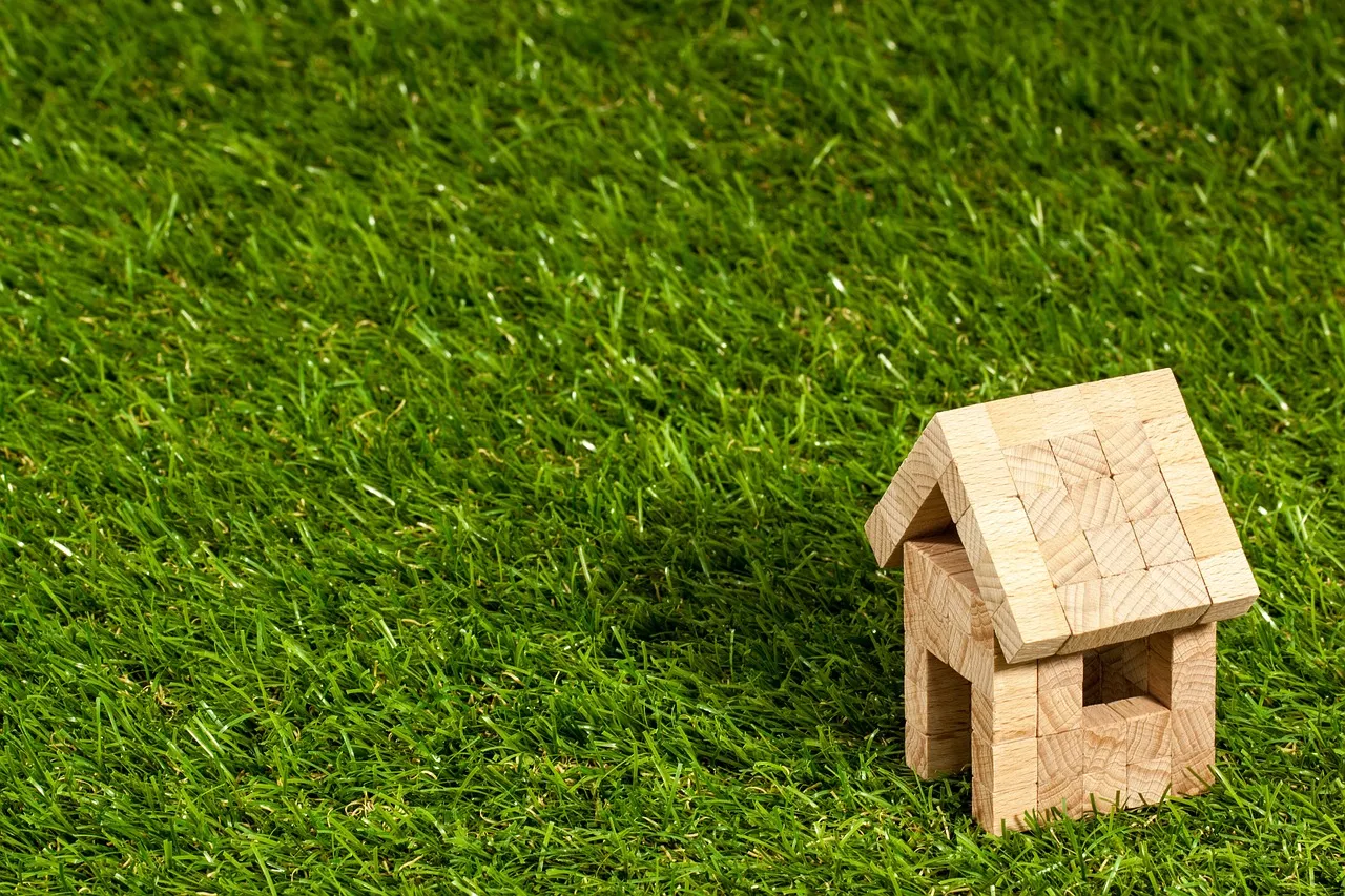 New Real Estate Agent, successful Realtor, successful Realtors