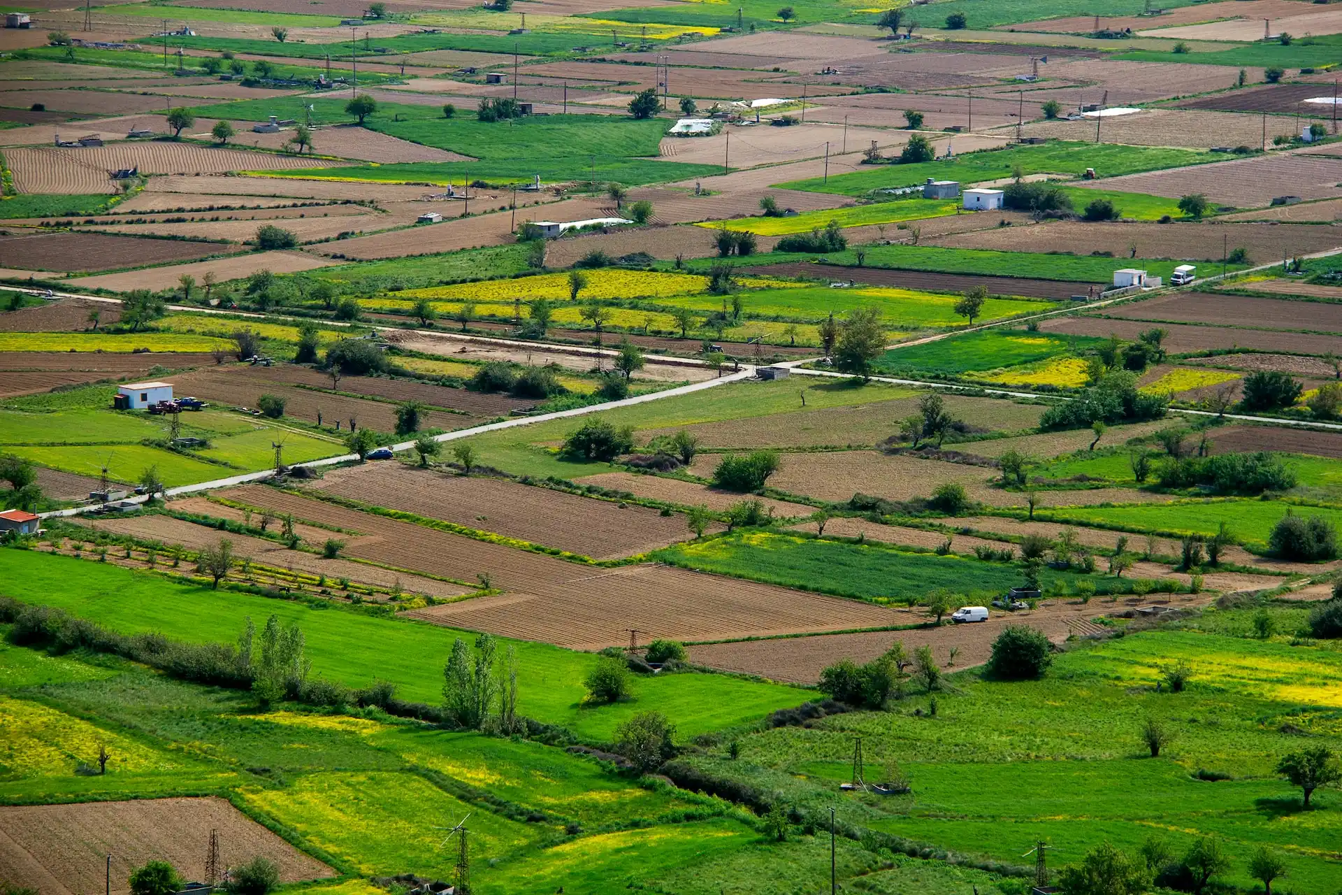 Land location's aerial view