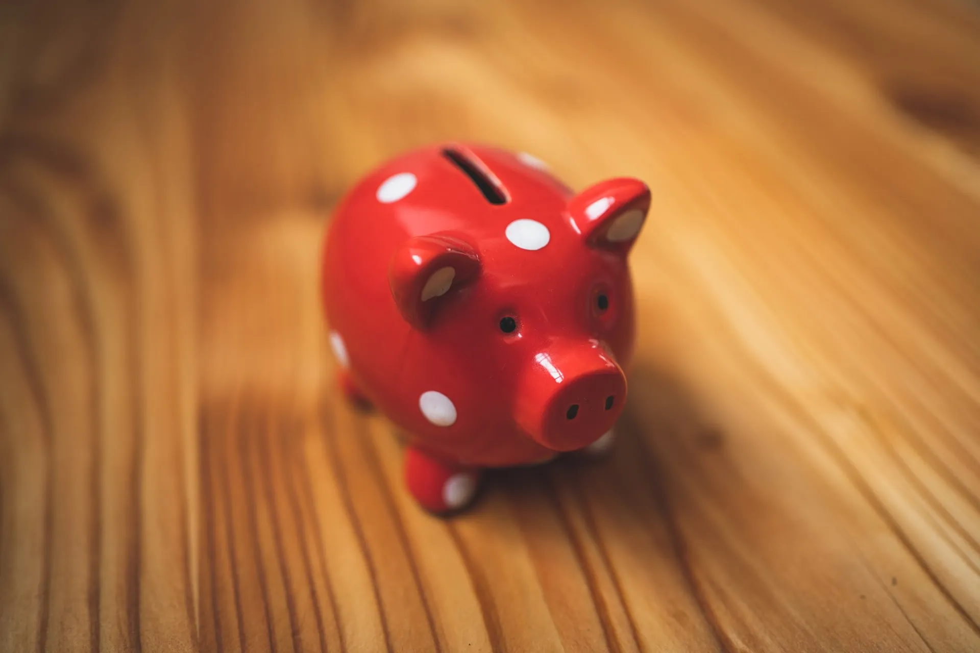 A red piggy bank with white spots.
