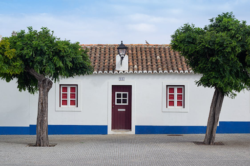 trees-growing-in-front-of-a-house